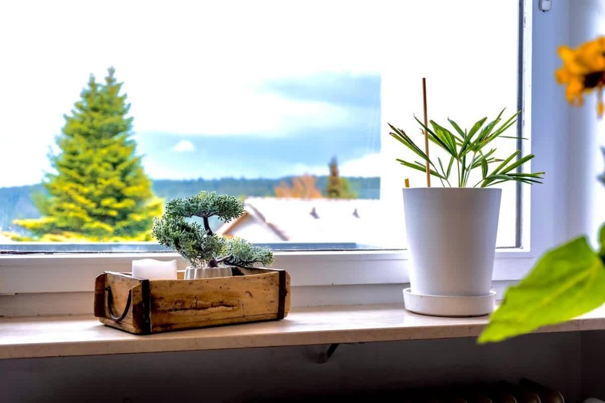Relaxapartments Black Forest Nature Mit Beheiztem Indoor-Pool Und Sauna - Sonnenbalkon Mit Blick Ins Gruene, Schnelles Internet, Naehe Triberger Wasserfaelle, Fuer Bis Zu 2 Personen Schönwalde Zewnętrze zdjęcie